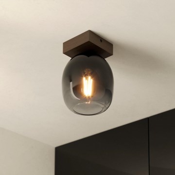 Eglo - Loftlampe 1xE27/40W/230V