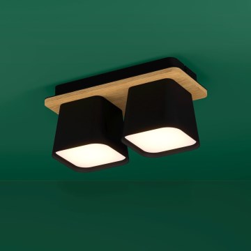 Eglo - Loftlampe 2xE27/40W/230V sort/brun
