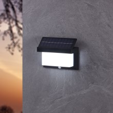 Eglo - Soldrevet LED væglampe med sensor LED/3,84W/3,7V IP44