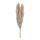Eglo - Tørret blomst 55 cm beige