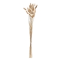 Eglo - Tørret blomst 60 cm beige