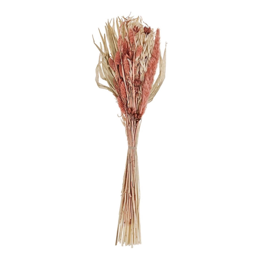 Eglo - Tørret blomst 60 cm orange