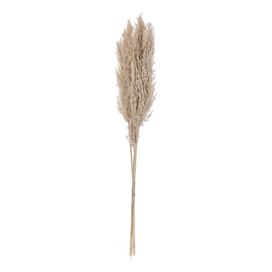Eglo - Tørret blomst 85 cm beige