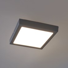 Eglo - Udendørs LED loftslampe LED/22W IP44