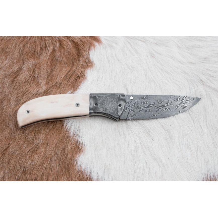 Eksklusiv Damaskus kniv foldbar 8,6 cm mammut stødtand