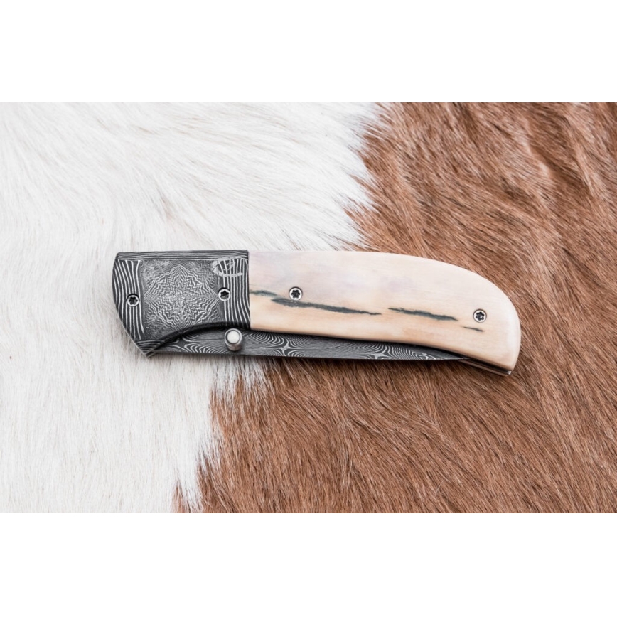 Eksklusiv Damaskus kniv foldbar 8,6 cm mammut stødtand