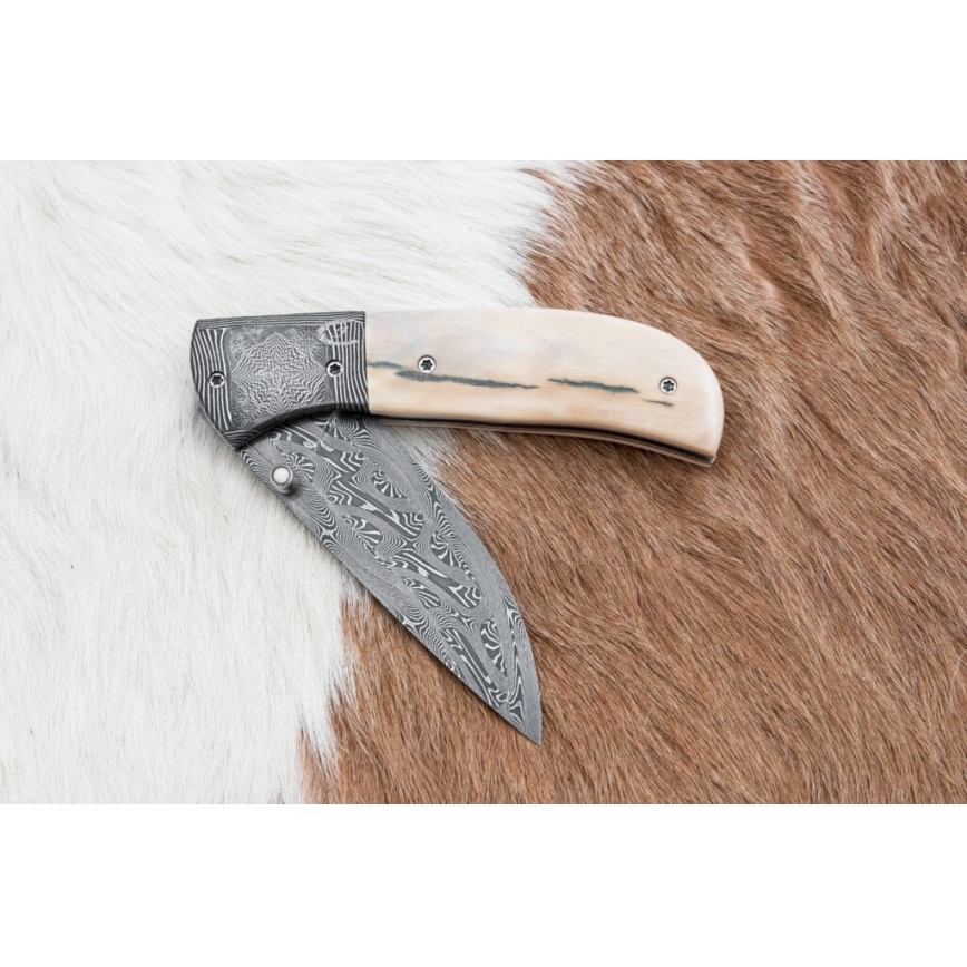 Eksklusiv Damaskus kniv foldbar 8,6 cm mammut stødtand