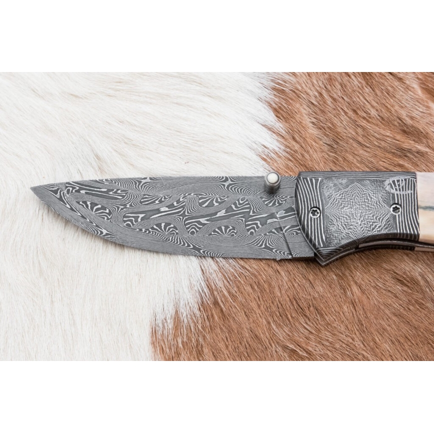Eksklusiv Damaskus kniv foldbar 8,6 cm mammut stødtand