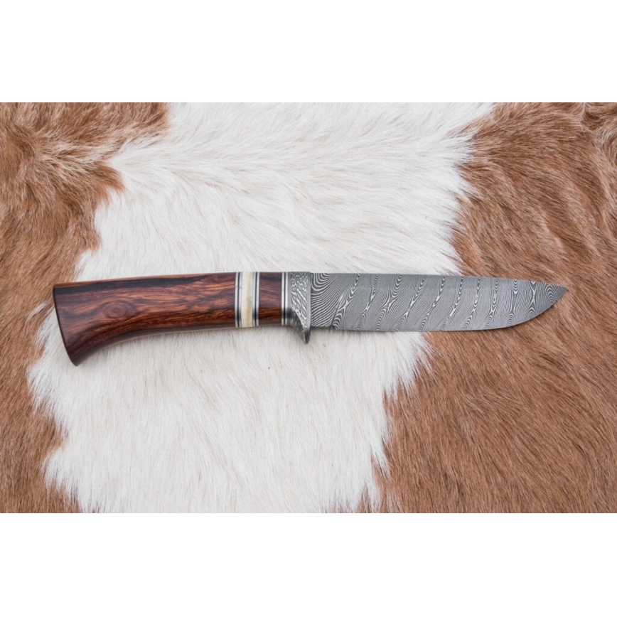 Eksklusive Damaskus knive 13 cm ironwood/kamelknogle