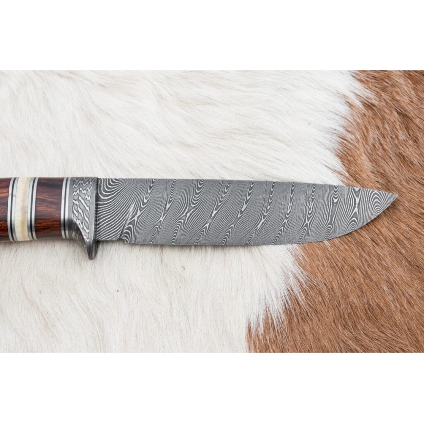 Eksklusive Damaskus knive 13 cm ironwood/kamelknogle