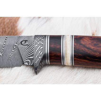 Eksklusive Damaskus knive 13 cm ironwood/kamelknogle