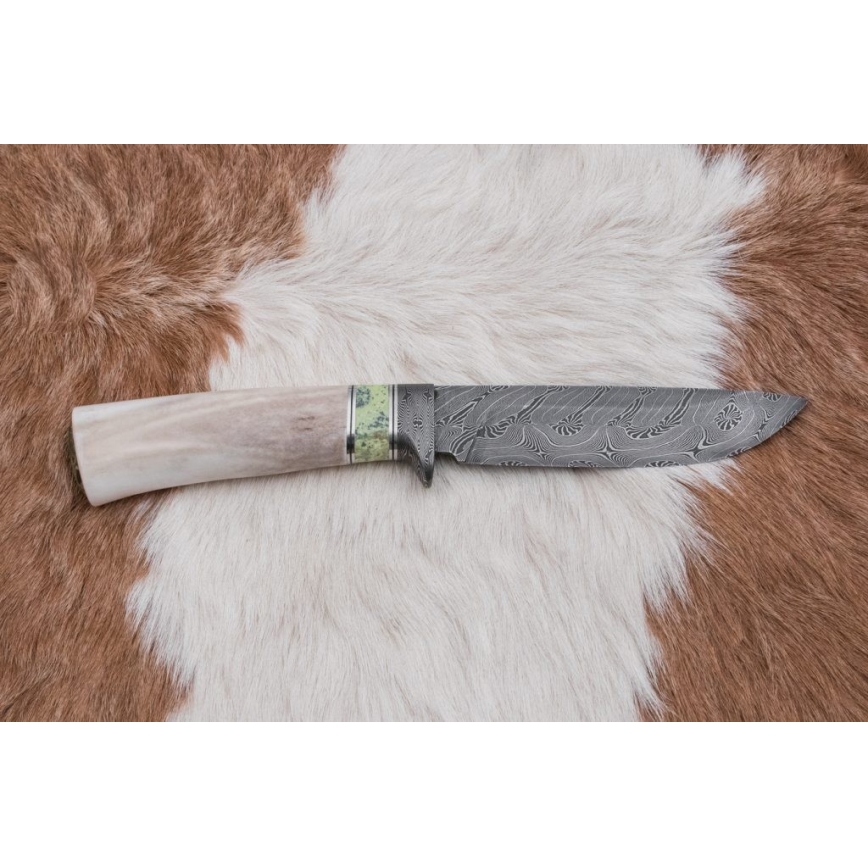Eksklusive Damaskus knive 13 cm serpentin/Rensdyrgevir
