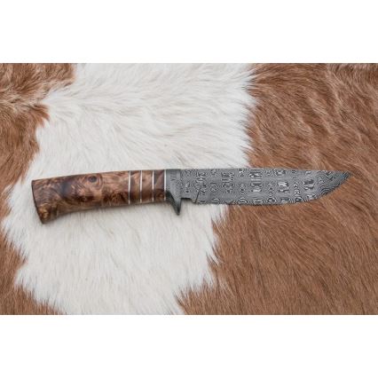 Eksklusive Damaskus knive 14,4 cm kastanjetræ/mammuttand