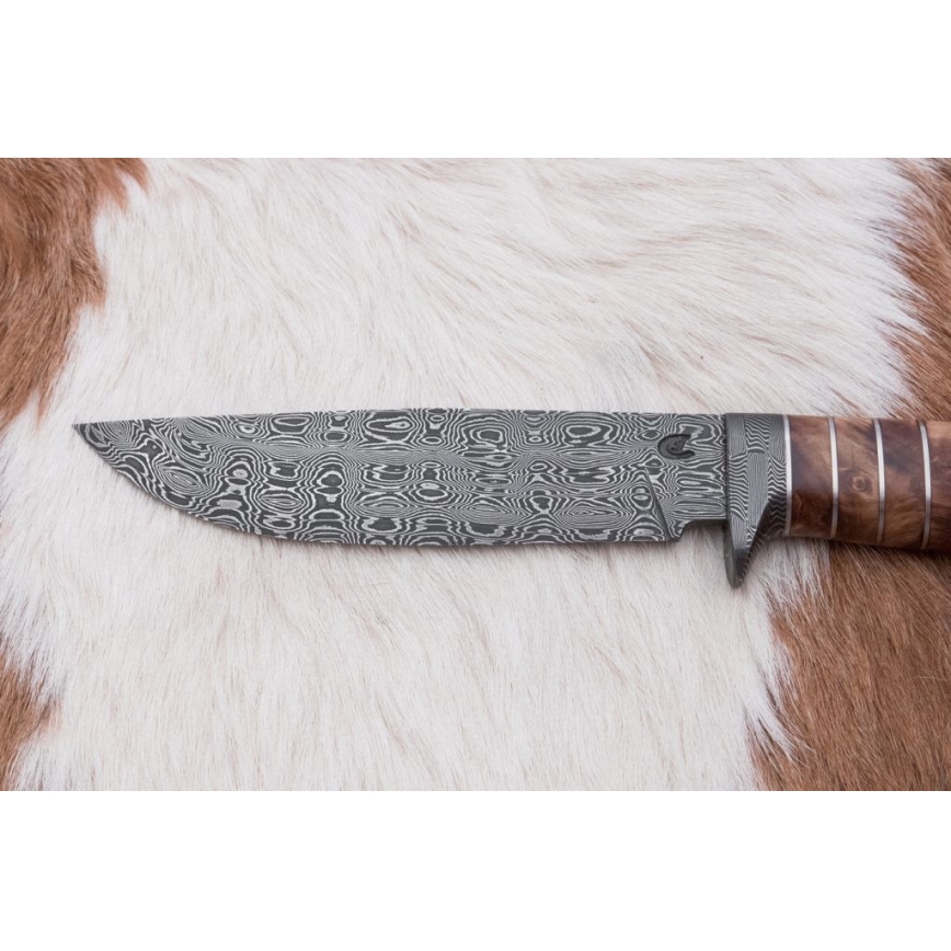 Eksklusive Damaskus knive 14,4 cm kastanjetræ/mammuttand