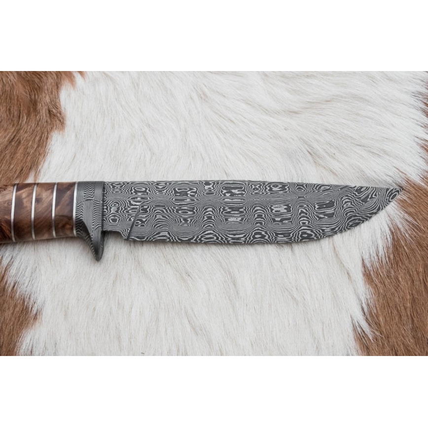 Eksklusive Damaskus knive 14,4 cm kastanjetræ/mammuttand