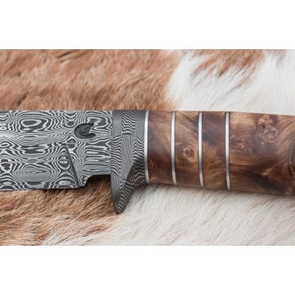Eksklusive Damaskus knive 14,4 cm kastanjetræ/mammuttand