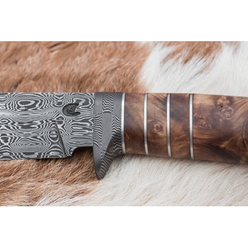 Eksklusive Damaskus knive 14,4 cm kastanjetræ/mammuttand