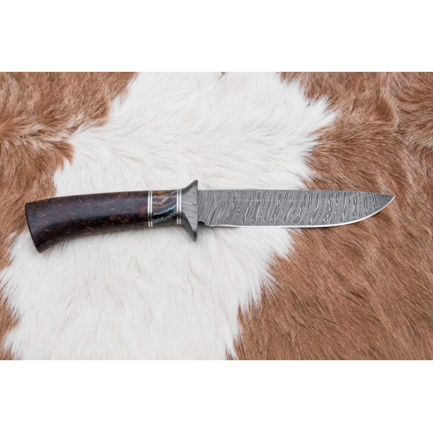 Eksklusive Damaskus knive 14,6 cm Birk/mammuttand