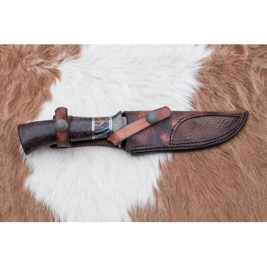 Eksklusive Damaskus knive 14,6 cm Birk/mammuttand