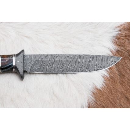 Eksklusive Damaskus knive 14,6 cm Birk/mammuttand