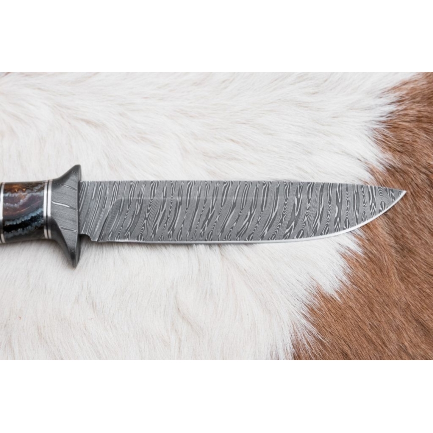 Eksklusive Damaskus knive 14,6 cm Birk/mammuttand