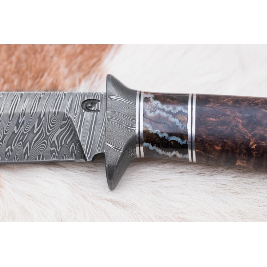 Eksklusive Damaskus knive 14,6 cm Birk/mammuttand