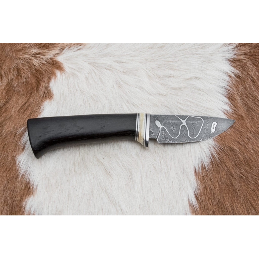 Eksklusive Damaskus knive 8,6 cm eg/kamelknogle