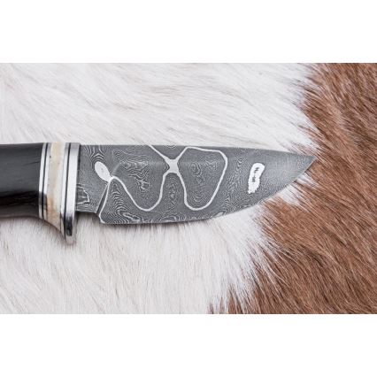 Eksklusive Damaskus knive 8,6 cm eg/kamelknogle