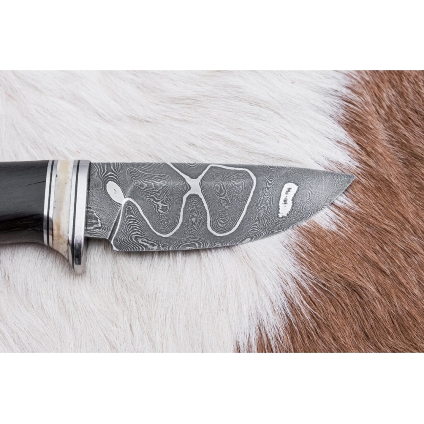 Eksklusive Damaskus knive 8,6 cm eg/kamelknogle