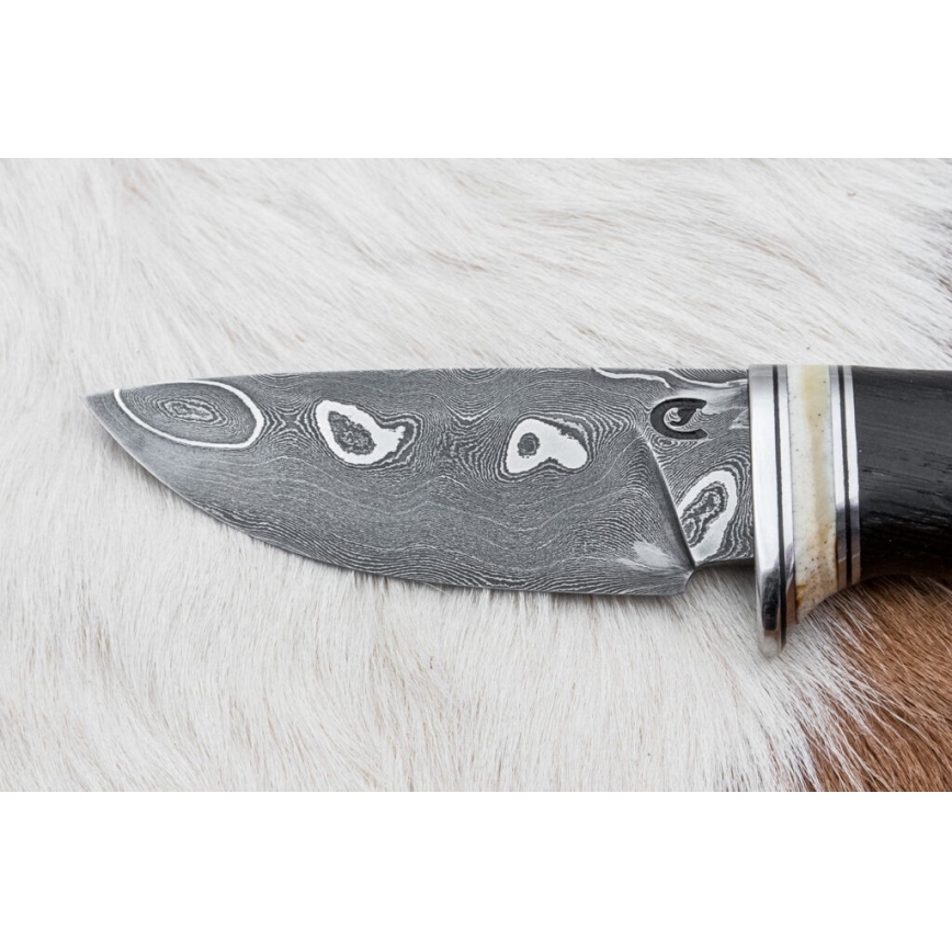 Eksklusive Damaskus knive 8,6 cm eg/kamelknogle