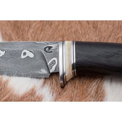 Eksklusive Damaskus knive 8,6 cm eg/kamelknogle