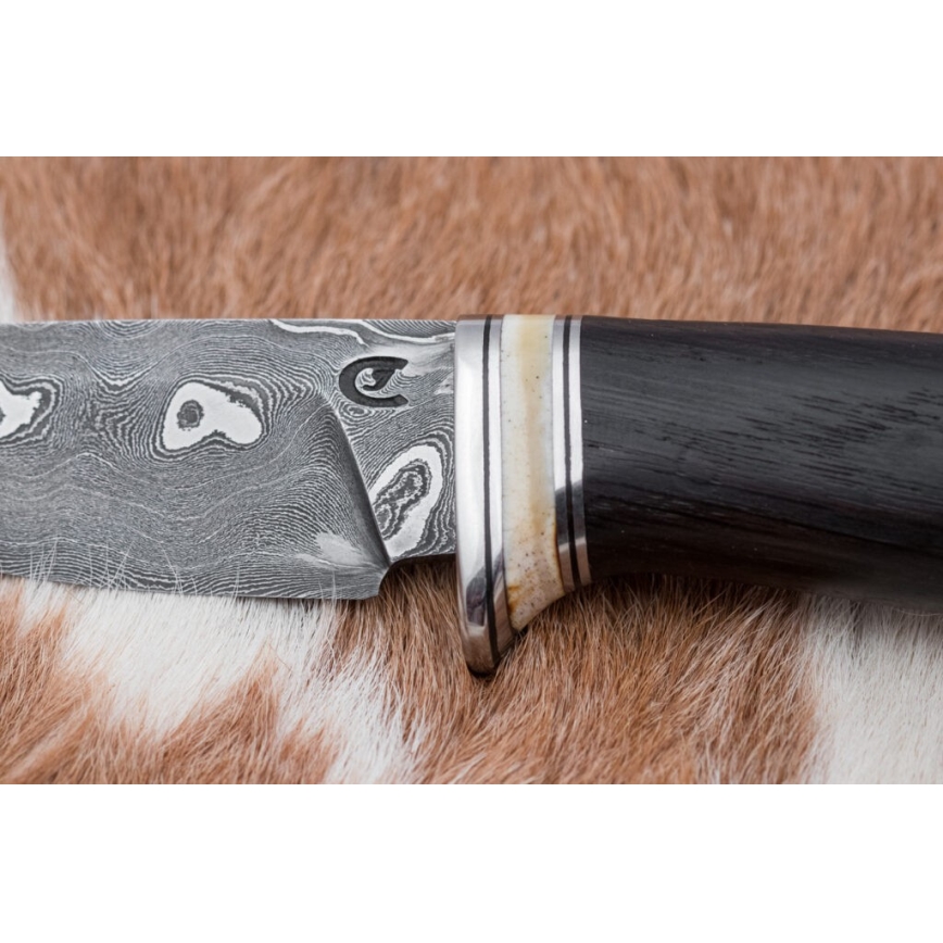 Eksklusive Damaskus knive 8,6 cm eg/kamelknogle