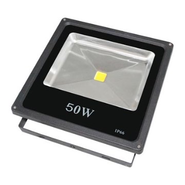 Emithor 32104 - LED projektør 1xLED/50W/230V IP65