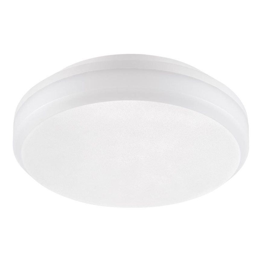 Emithor 63206 - LED arbejdslampe til loft SURFACE 1xLED/20W/230V IP65