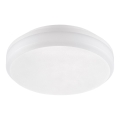 Emithor 63206 - LED teknisk loftarmatur overflademonteret LED/20W/230V IP65