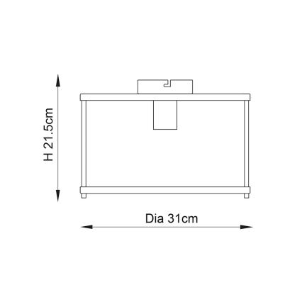 Endon 103112 - Loftlampe HOPTON 1xE27/10W/230V mat krom