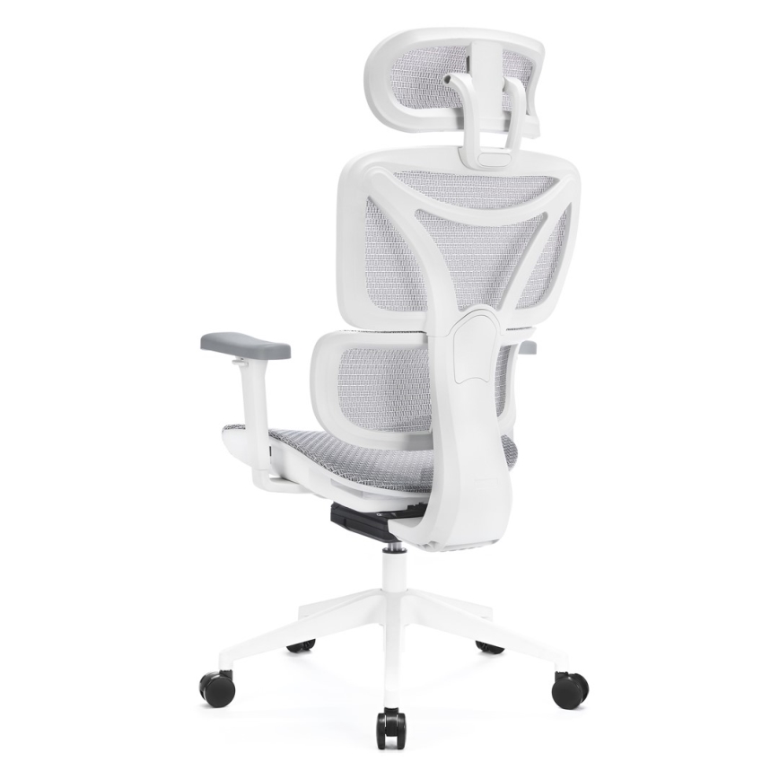 Ergonomisk kontorbord LEVANO grå/hvid/sort