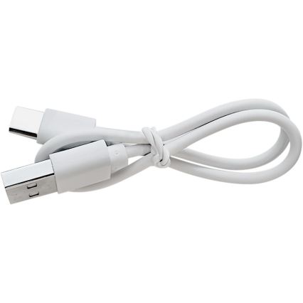 Extol - Dæmpbar genopladelig forstørrelseslupe med LED-belysning/650 mAh hvid/grå