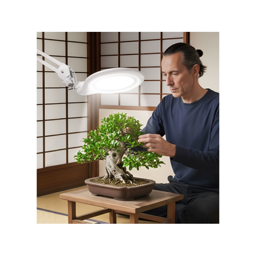 Extol - LED dæmpbar skrivebordslampe med lup LED/10W/230V hvid