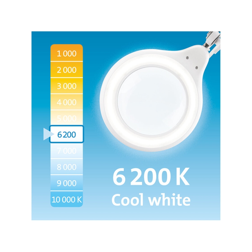 Extol - LED dæmpbar skrivebordslampe med lup LED/10W/230V hvid