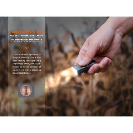 Fenix E03RV20GREY - Genopladelig LED lommelygte LED/USB IP66 500 skinnende 30 timer 400 mAh