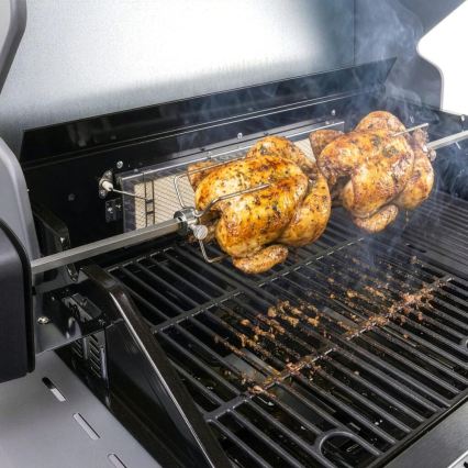 Fieldmann - Grillspyd med motor 230V i rustfrit stål