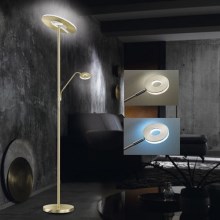Fischer & Honsel - LED gulvlampe dæmpbar DENT 1xLED/30W/230V + 1xLED/6W 2700-4000K