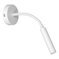 Fleksibel bordlampe ARDEN 1xG9/8W/230V hvid