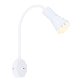 Fleksibel bordlampe ARENA 1xE14/40W/230V hvid