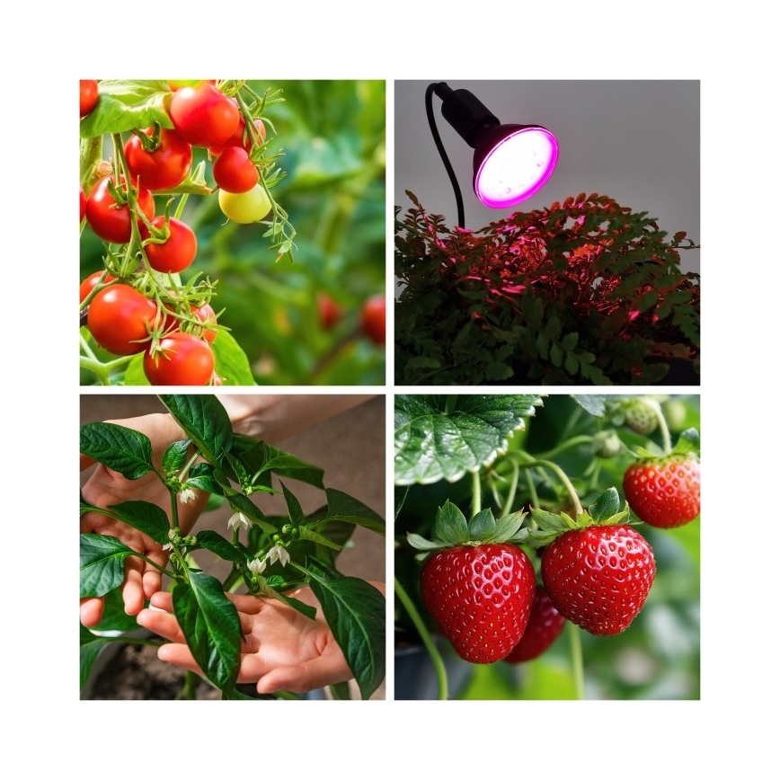 Fleksibel bordlampe med klemme til plantevækst PLANTY 1xE27/30W/230V sort