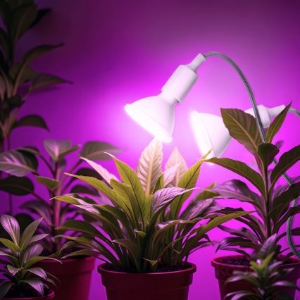 Fleksibel bordlampe med klemme til plantevækst PLANTY 2xE27/30W/230V hvid