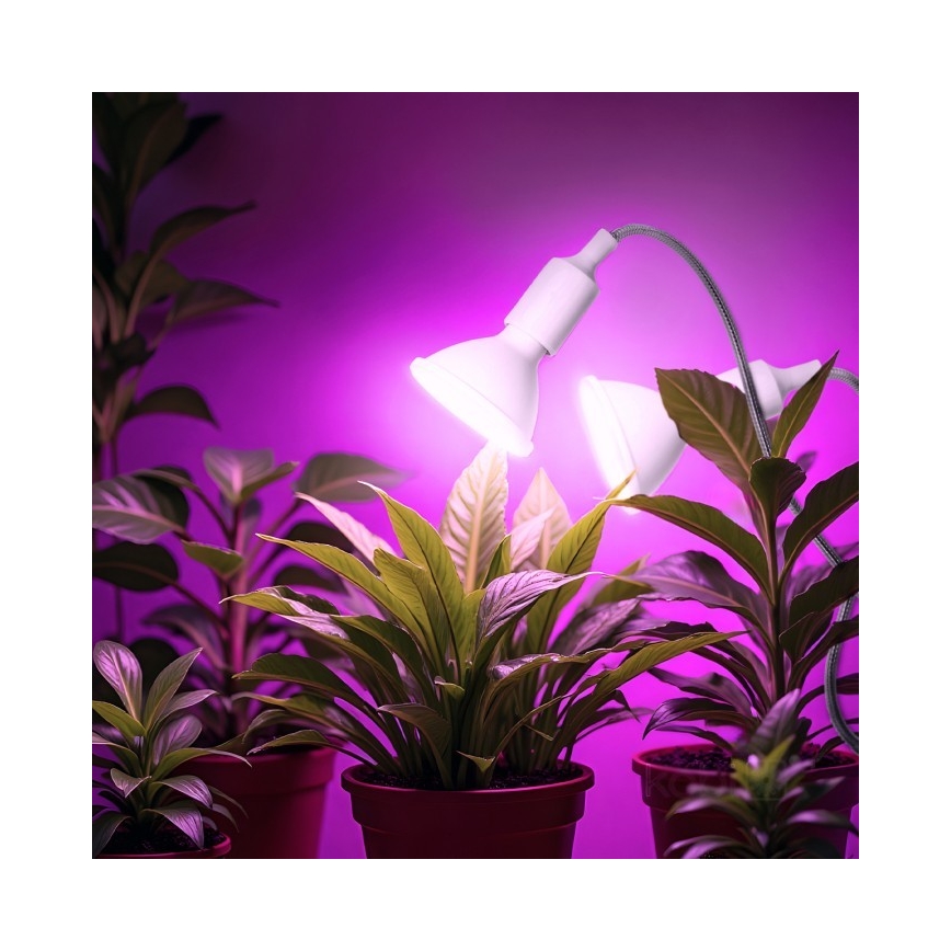 Fleksibel bordlampe med klemme til plantevækst PLANTY 2xE27/30W/230V hvid