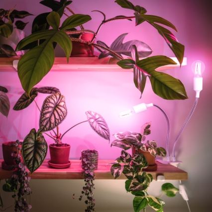 Fleksibel bordlampe med klemme til plantevækst PLANTY 2xE27/30W/230V hvid