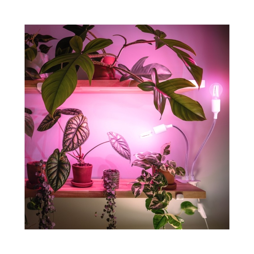 Fleksibel bordlampe med klemme til plantevækst PLANTY 2xE27/30W/230V hvid